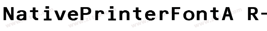 NativePrinterFontA R字体转换